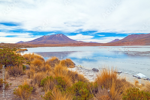 Barren Landscape in the High Mountains of Bolivia