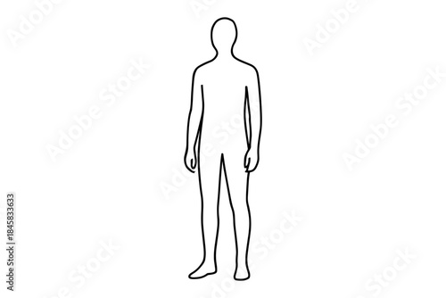 Minimalist human silhouette for medical and educational diagrams