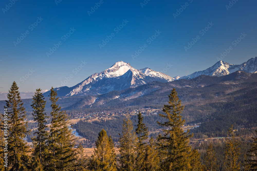 Obraz premium Snow-capped mountain range under a bright blue sky, towering over a valley of dense forest and small settlement. Zakopane town at the foot of the Tatra Mountains in Poland, Europe.