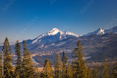 Fototapeta Naklejka Na Ścianę i Meble -  Snow-capped mountain range under a bright blue sky, towering over a valley of dense forest and small settlement. Zakopane town at the foot of the Tatra Mountains in Poland, Europe.