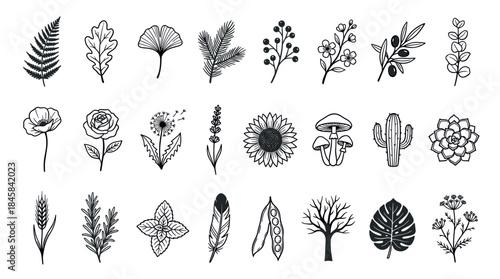 Large collection of hand-drawn botanical illustrations featuring a diverse variety of flowers, leaves, plants, and trees in a minimalist black and white line art doodle style
