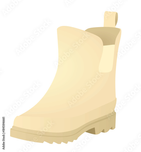 Brown women boots. vector illustration
