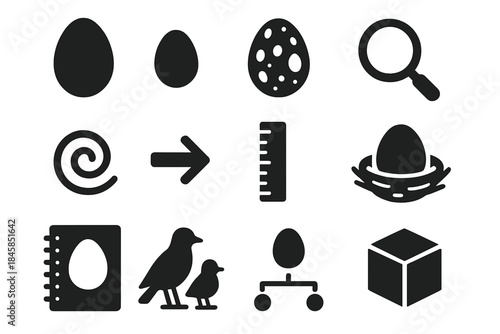 Comparative Egg Icons. Solid style icons of comparative oology: different egg shapes, sizes, patterns, magnifying glass, spiral,