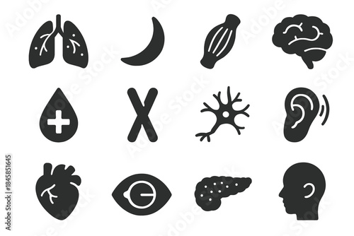 Genetic Disease Icons. Solid style icons of Genetic Diseases: cystic fibrosis lungs, sickle cell red blood cell, muscular