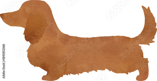 Watercolor silhouette illustration of long hair Miniature Dachshund in cream