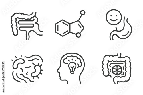 Gut-Brain Axis Icons. Line style icons of Gut-Brain Axis: neural connection from gut, serotonin molecule, mood and digestion