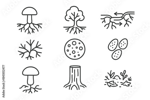 Forest Network Icons. Line style icons of Forest Networks: Mycorrhizal Association, Root System, Nutrient Flow, Underground Web;