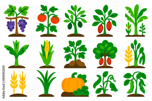 Fertile Soil Icons. Flat vector icons of fertile volcanic soil agriculture: grapevine, tomato plant, olive tree, coffee bush,