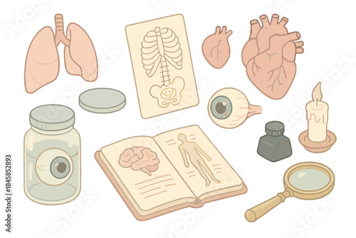 Dreamlike Medical Archives. Isometric vector illustration set of Dreamlike Medical Archive: floating transparent organs, thin-line