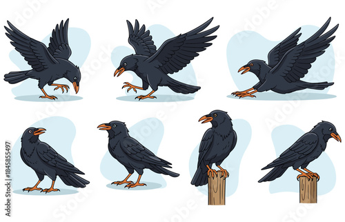 Cartoon crows and ravens in flight and perched poses, black birds with orange beaks, vector animal sketch, flat vector illustration