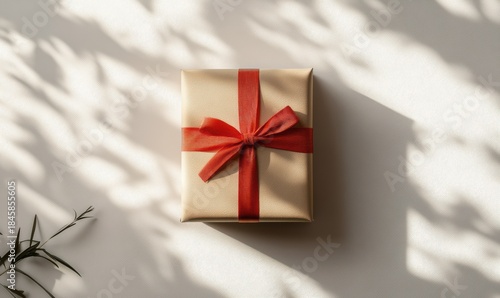 A gift box with red ribbon, shadows, and leaves visible.