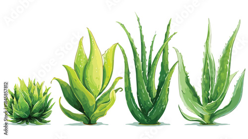 Vibrant Collection of Various Plants featuring Aloe Succulent