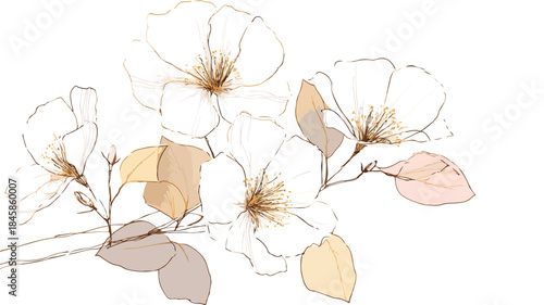 Botanical Illustration of Plant with Flowers and Leaves in Vector Style Outline