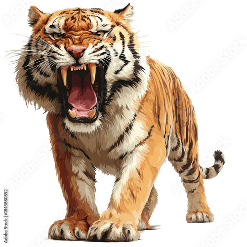 Fierce roaring tiger showing its sharp fangs.