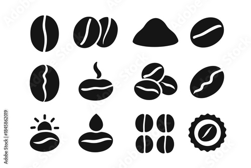 Medium bit icon bean shell coffee vector density whole process dry