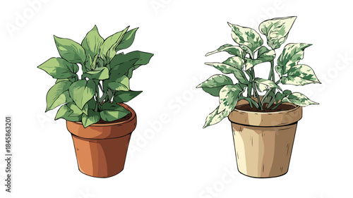 Green foliage potted plant in brown pot, nature decor with vibrant leaves