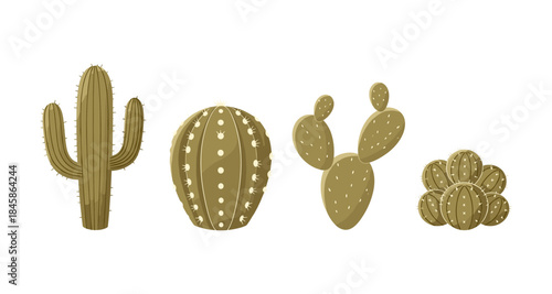 Collection of stylized desert cacti in various shapes and sizes on a white background