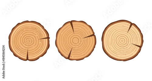 Three distinct tree stump cross sections with visible growth rings and bark texture
