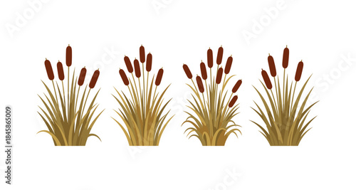 Collection of four stylized cattail plants with brown seed heads and green leaves