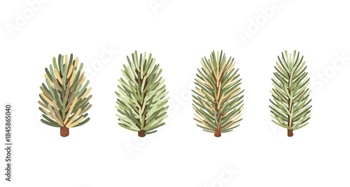 Four stylized pine branches with varied green and beige needles on a white background