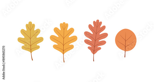 Set of four stylized autumn leaves in warm fall colors on a white background