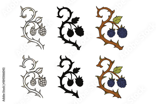 Blackberry Bramble Styles. Blackberry bramble twisting with sharp points and tiny berries, simple minimal vector illustration,