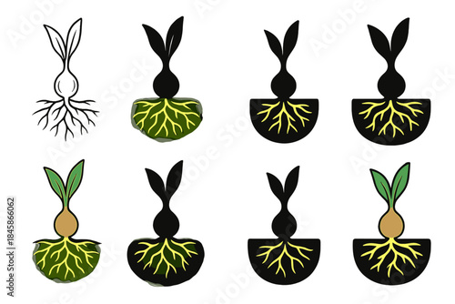 Luminous Geophyte Roots. Geophyte plant with luminous underground network of roots, clean minimalist vector, first in line style