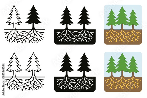 Forest Floor Mycorrhizal Network. Cross-section of forest floor showing trees linked by mycorrhizal threads, subtle organic