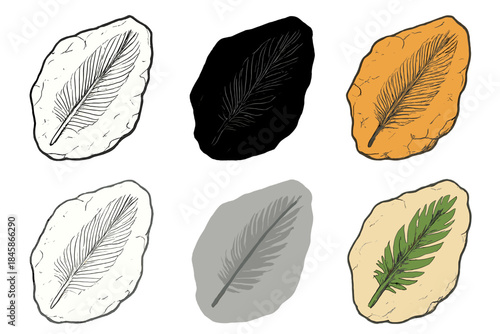 Stylized Fossil Feather. Stylized close-up of a single archaeopteryx feather fossil fragment, simple outline emphasizing