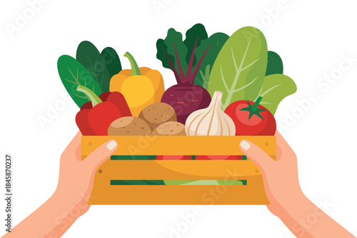 Hands Holding a Crate of Freshly Harvested Vegetables