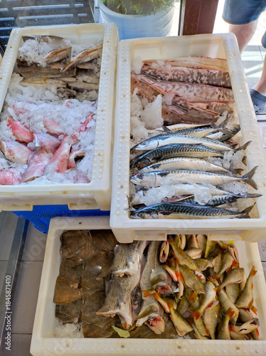 Fresh seafood display at market with ice