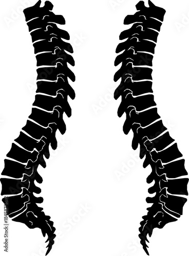 Two identical black silhouettes of a human spine viewed from the side silhouette
