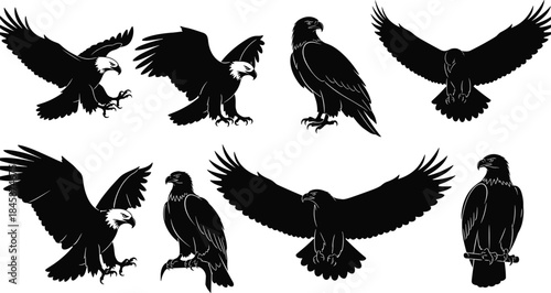 Black silhouettes of eagles in flight, perched, landing, talons extended, wings spread, detailed feathers, minimalistic bird illustration design