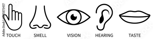 Set of five human senses icons