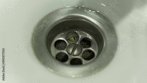 Monster Parasite Organism squirming in a metal drain filter. Horror content.