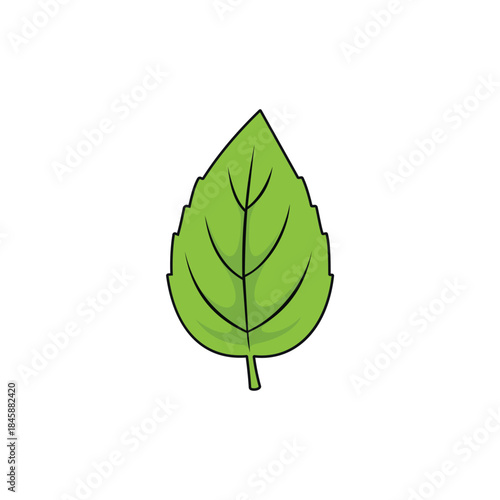 Fresh green mint leaf vector illustration icon in flat cartoon style isolated on white background