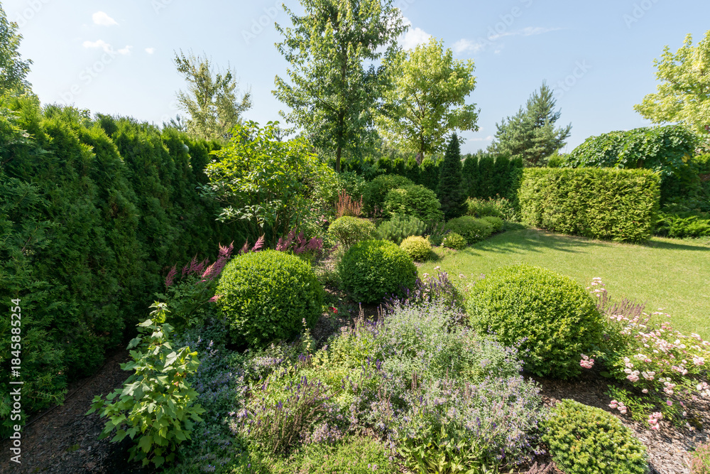 Fototapeta premium In a green space, different plants and bushes are arranged neatly. Sunlight shines down on the garden, showing vibrant colors and a well-kept landscape.