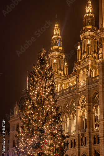 Christmas tree in front of Vienna City Hall at night
