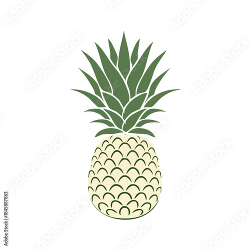 Isolated Pineapple Fruit Illustration Tropical Food Icon Design