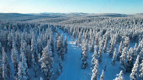 Drone View Car Driving on Snow Covered Road Through Vast Winter Forest