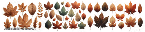 Autumn Leaf Collection in Warm Earth Tones on Neutral Background