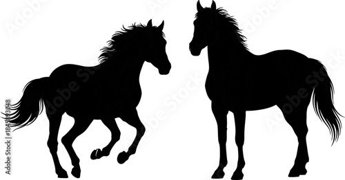 Two black horses facing each other in black and white illustration