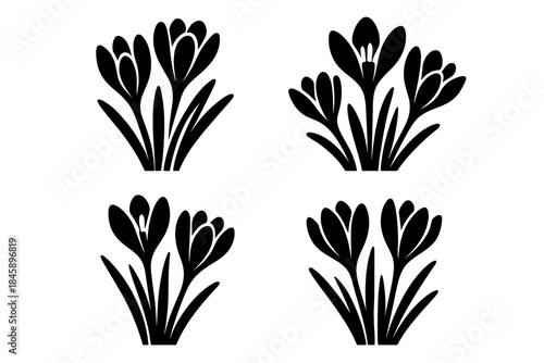 Four stylized black silhouette icons of blooming crocus flowers and leaves symbolizing spring awakening