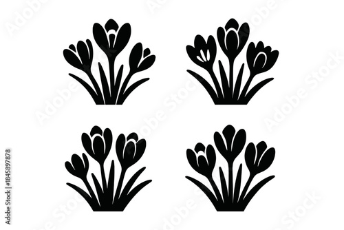 Stylized black silhouettes of blooming crocus flowers in four distinct groups