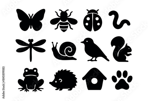 A diverse set of simple black animal and nature-related silhouettes, including insects, mammals, amphibians, and birds, perfect for various design projects — stock vector.