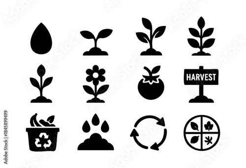 A collection of minimalist black and white icons illustrating plant growth stages, farming, harvesting, recycling, and natural cycles on a clean white background — stock vector.