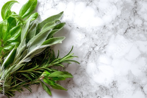 Vibrant fresh green culinary herbs basil, sage, rosemary bunched together on clean white gray marble surface, copy space