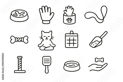 Icon cat chart chew routine vector slow pet mindful walking feeding hydration
