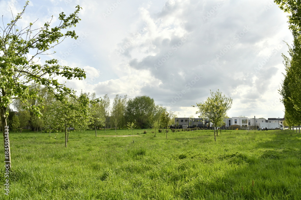 Naklejka premium Ciel nuageux et éclaircie au dessus d'une prairie à Écaussinnes-Lalaing (Soignies)