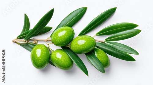 Wallpaper Mural Fresh green olives with leaves on branch isolated on white background Torontodigital.ca